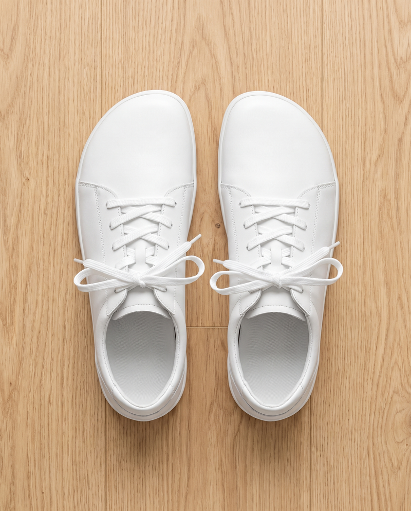Solework
